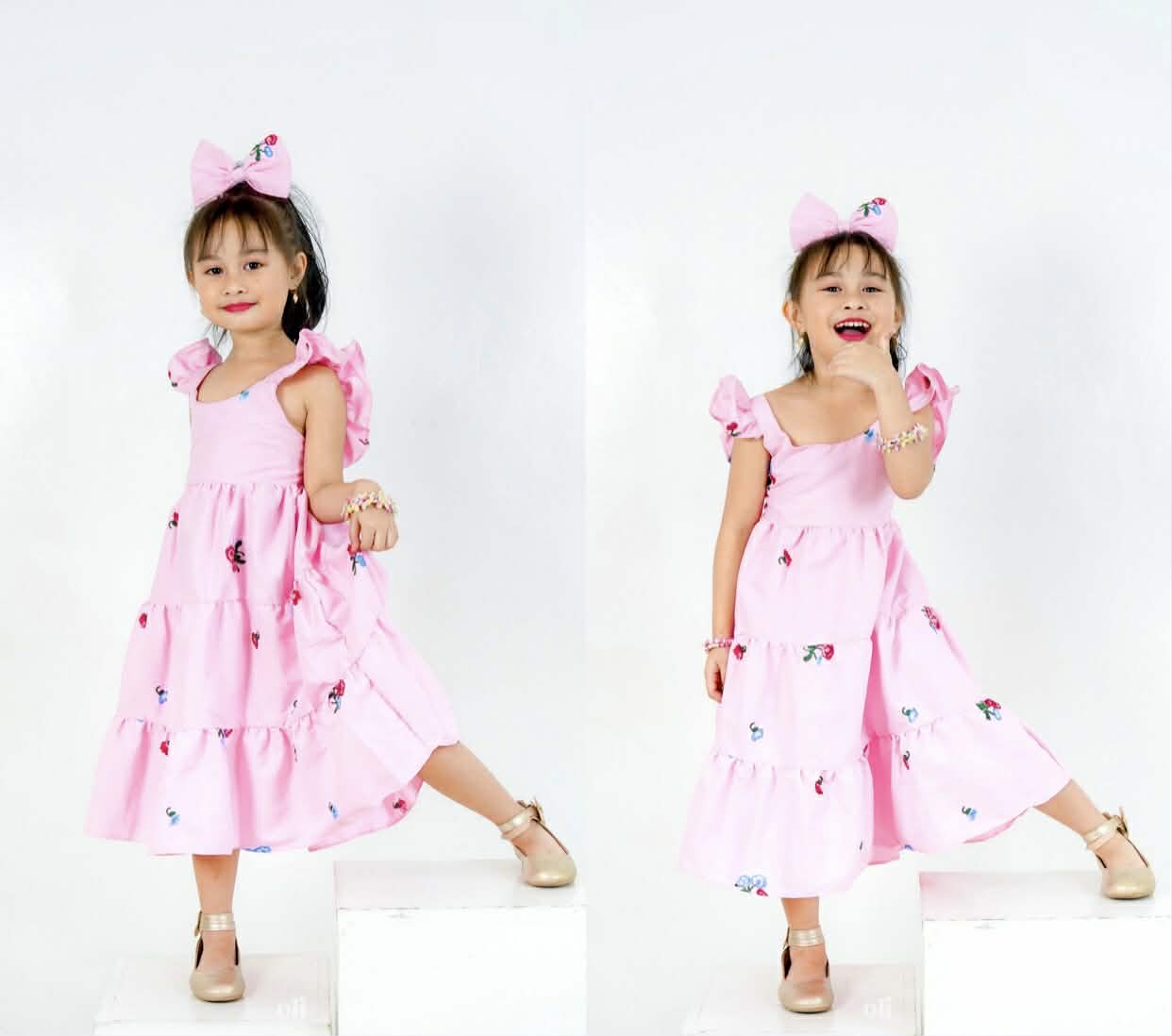 Thalia Embroidery Dress